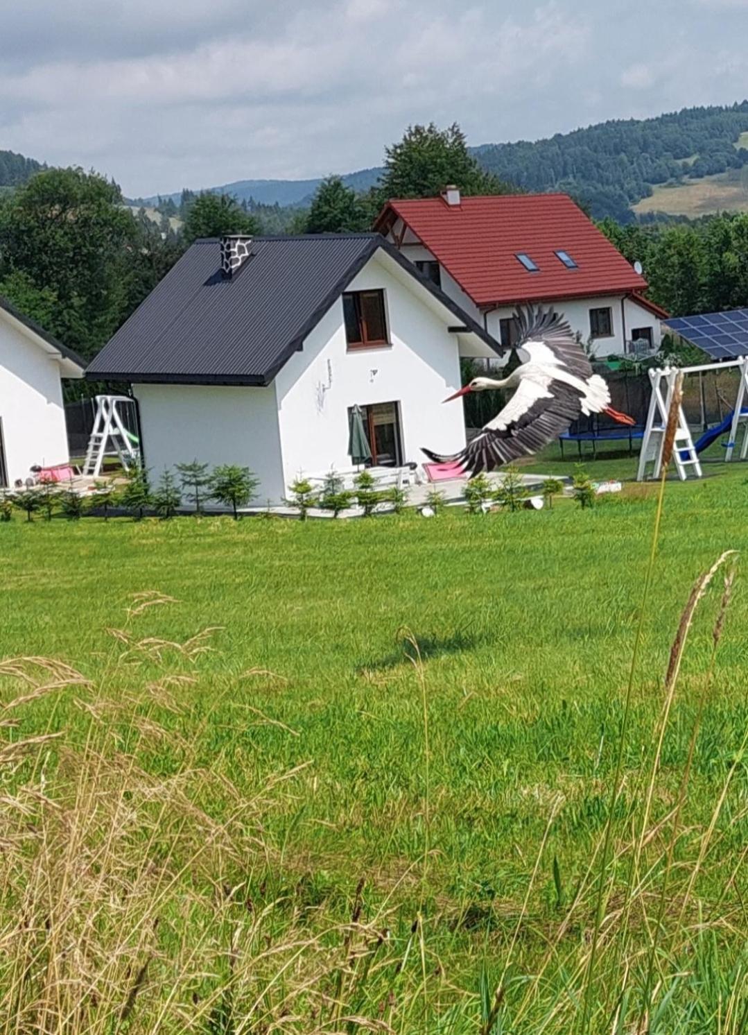 Domek Pod Holica 2 Bieszczady Ustrzyki Dolne Dış mekan fotoğraf